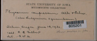 Image Associated With the Occurence